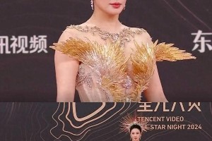 2023星光大赏红毯：张雨绮赵丽颖等明星造型盘点
