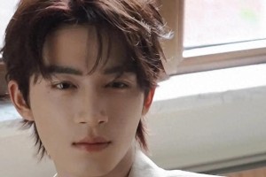 2024年十大爆红男星盘点：演技与魅力并存