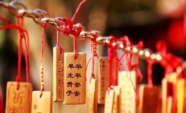 杨紫张艺兴同框