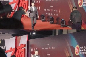 张晚意厅局风红毯走红，反油腻人设吸粉300万