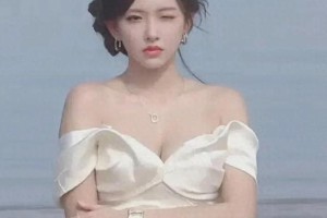 程潇：从韩国弃子到内娱红毯女王的逆袭之路