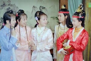 小戏骨《天真派红楼梦》热播：香菱晴雯成亮点