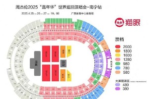 周杰伦演唱会大屏观演区引争议 480元票只能看屏幕