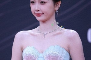 精选图片集锦：视觉盛宴一览