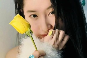 春日生活打卡季：记录美好瞬间