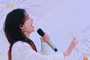 《乘风2025》三公舞台：王珞丹组惊艳，宋妍霏组失望，吴宣仪组争议