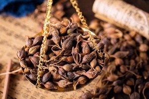 《本草纲目》与李时珍：中医药的千年传承