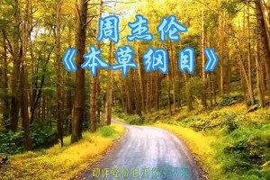 周杰伦《本草纲目》歌词解析与舞蹈教学