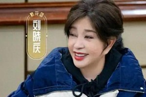 刘晓庆励志人生：从低谷到巅峰的传奇故事