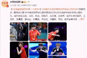 王励勤强硬改革：国乒集体主义新篇章