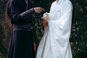 肖战王一博《陈情令》爆红：演技与角色契合的顶流之路