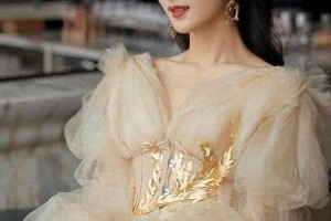 赵丽颖鎏金薄纱连衣裙穿搭指南，显瘦显高时尚必备