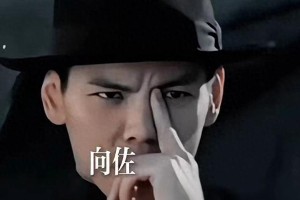 向佐回应医生警告手势风险 网友哭笑不得